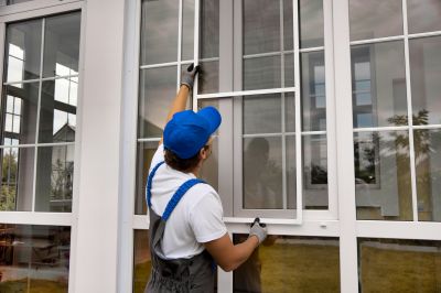 Custom Window Designs